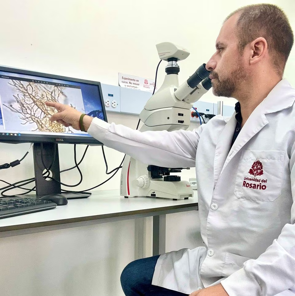 Professor at the University of Rosario (Universidad del Rosario) Edwin Cadena works at the laboratory, in Bogota, Colombia, in this picture taken on 2023. Photo: Reuters