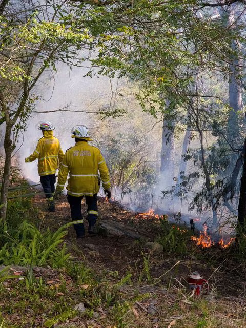 New South Wales Rural Fire Service firefighters walk through a hazard reduction burn in Sydney, Australia, September 10, 2023. Photo: Reuters