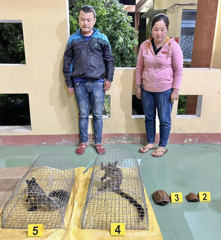 Two wildlife traffickers caught in Quang Nam Province, central Vietnam. Photo: Supplied