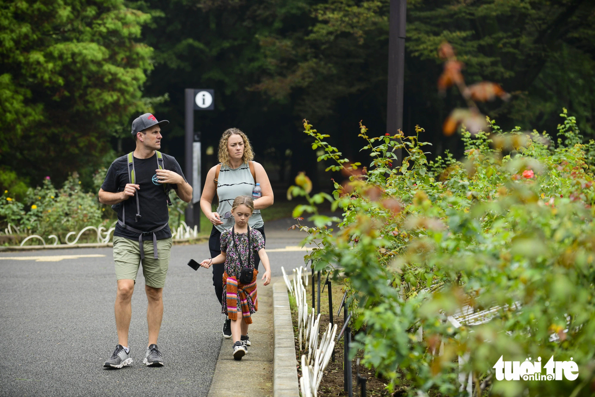 The Yoyogi Park daily welcomes a high number of local and foreign visitors to explore the ‘green lung’ of Tokyo