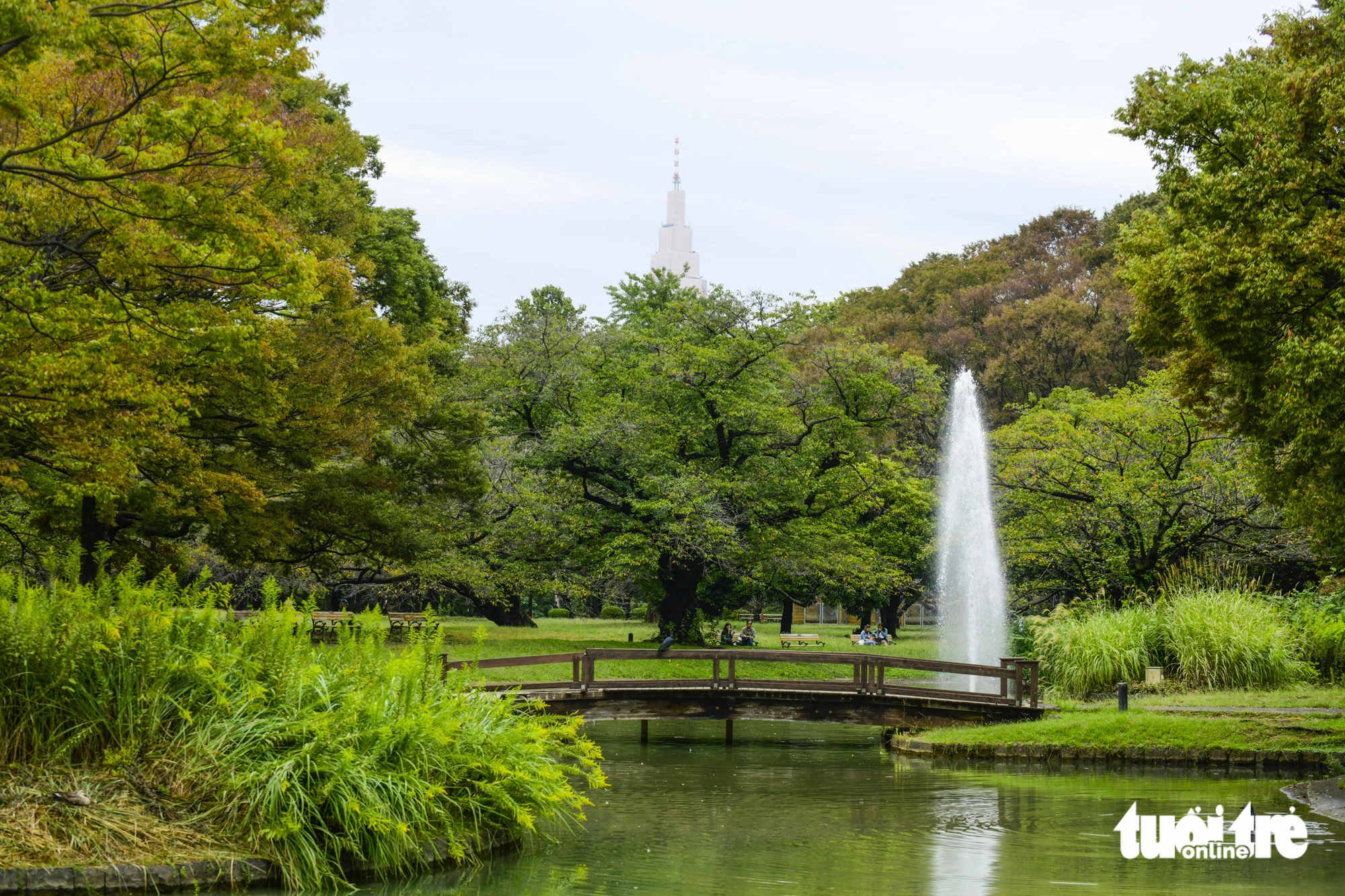 A lake, a fountain, and benches along a path make the park become more romantic
