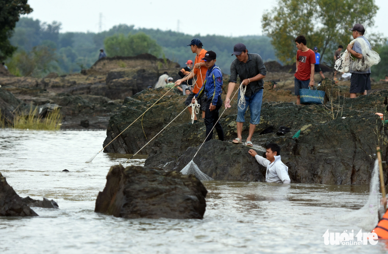 Residents use nets to catch fish at the Tri An hydroelectric dam in Dong Nai Province, southern Vietnam. Photo: Tuoi Tre