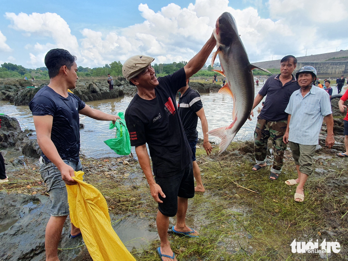 Many people catch giant fish weighing over 10 kilograms at the hydroelectric dam in Dong Nai Province, southern Vietnam. Photo: Tuoi Tre