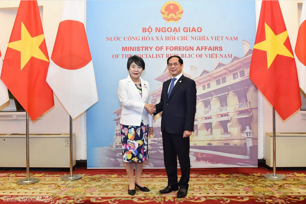 Vietnamese Minister of Foreign Affairs Bui Thanh Son (R) shakes hands with Japanese Minister of Foreign Affairs Kamikawa Yoko. Photo: World and Vietnam Report