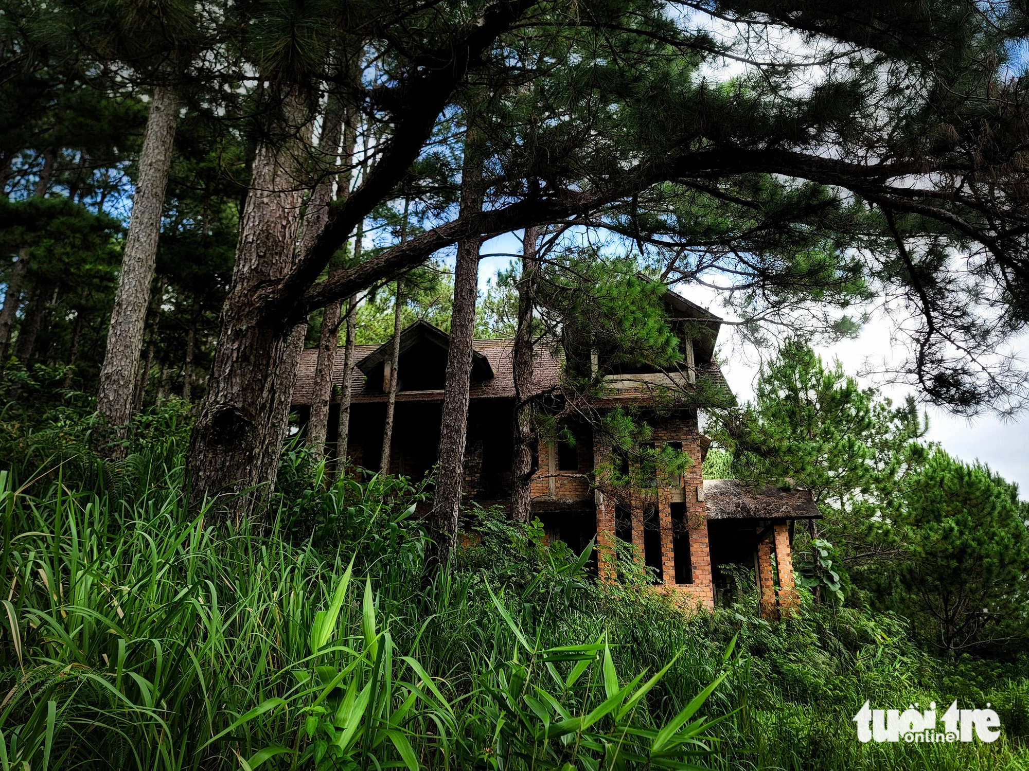 An abandoned villa is situated amid a pine forest at the heart of the Tuyen Lam Lake tourist area in Da Lat City, Lam Dong Province, Vietnam, October 2023. Photo: M.V / Tuoi Tre