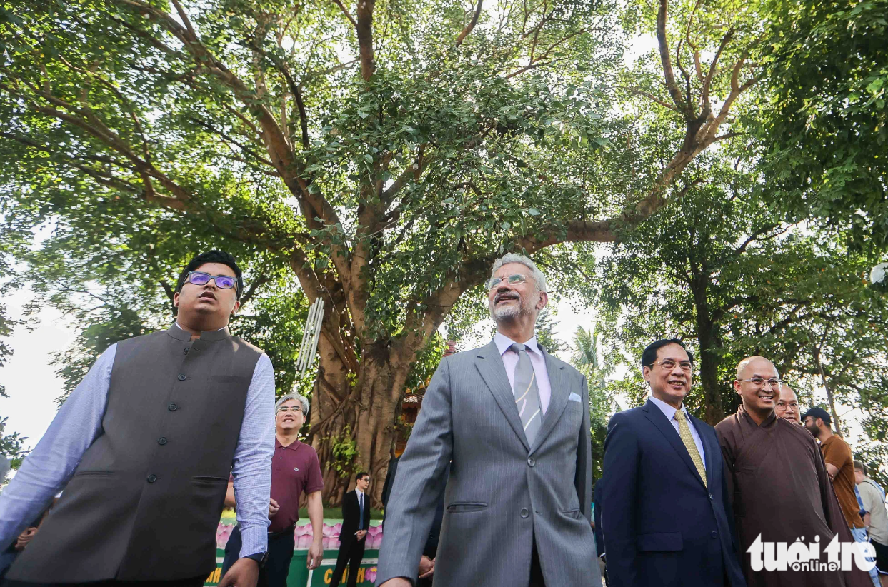 Indian Minister Jaishankar (C) looks at a Bodhi tree at Tran Quoc Pagoda. The tree is a special gift from Indian President Rajendra Prasad during his visit to Vietnam in 1959. He and late State President Ho Chi Minh grew the tree at the pagoda. Photo: Nguyen Khanh / Tuoi Tre