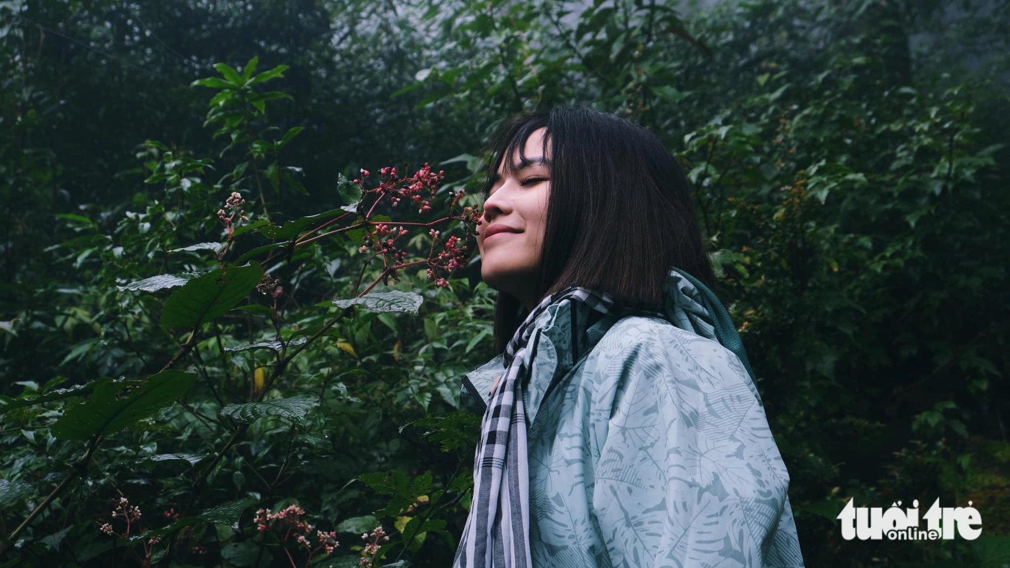 A tourist walks through the forest on Lung Cung Mountain. Photo: Hong Quang / Tuoi Tre