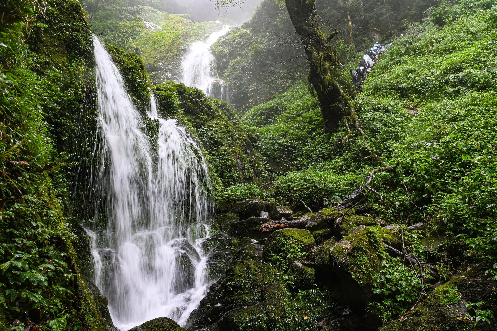 After climbing the mountain for about an hour, Hau Chua La Waterfall exposes a stunning virgin forest. Photo: Hong Quang / Tuoi Tre