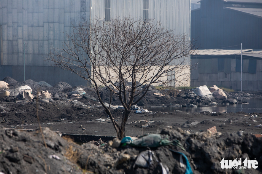 A tree without leaves surrounded by waste in the Man Xa aluminum recycling village in Bac Ninh Province, northern Vietnam. Photo: Tuoi Tre