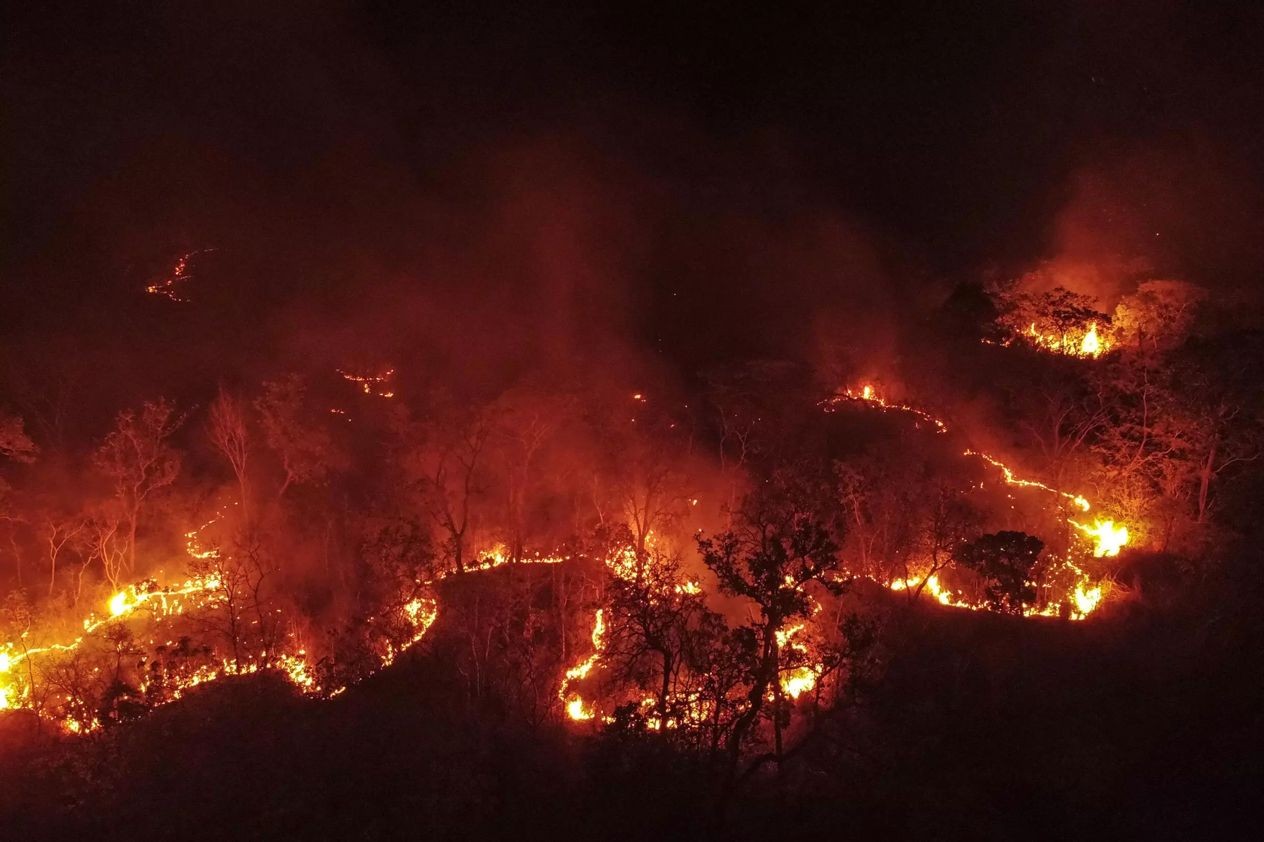 View of a fire in the Cerrado savanna in Barreiras, western of the Bahia state, Brazil, taken on October 1, 2023. Photo: AFP